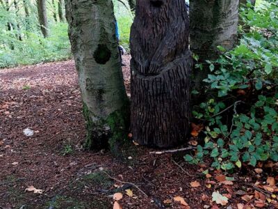 Geschnitzter Bär am Kehlenberg.