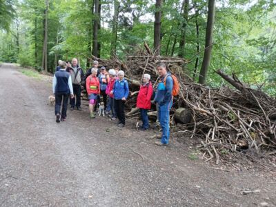 Die Wandergruppe bei einem kleinen Zwischenstopp.