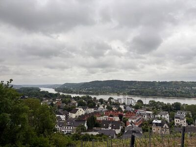 Blick auf den Rhein mit der Insel Nonnenwerth im Rhein.