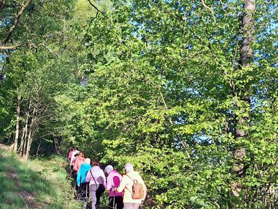 Die Wandergruppe auf einem schmalen Pfad im Wald.
