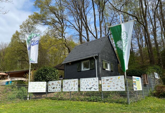 Das Foto zeigt die SGV-Hütte des Vereins aus Sicht des vorbeiführenden Wald- und Wanderwegs.