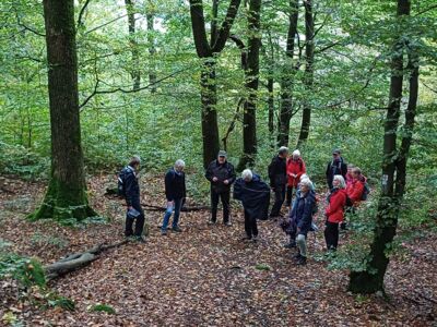 Ein Teil der Wanderer am Kehlenberg.