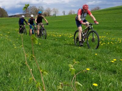 Vier Mountainbiker auf einem Weg in grüner Wiese.