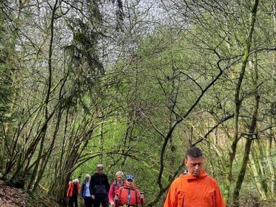 Wanderer hintereinander auf einem schmalen Wanderweg.