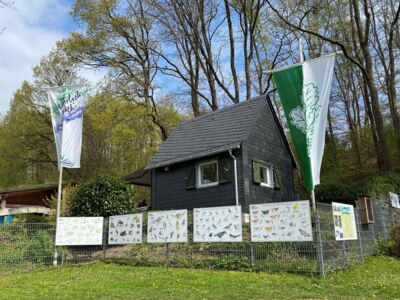 Das Foto zeigt die SGV-Hütte des Vereins aus Sicht des vorbeiführenden Wald- und Wanderwegs.