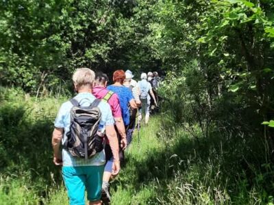 Wanderinnen und Wanderer auf einem schmalen Pfad.