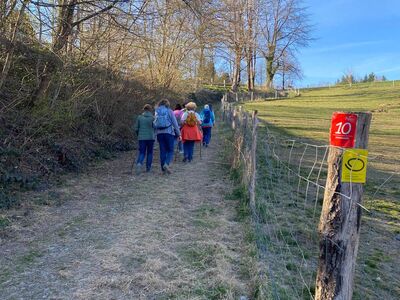 Walkerinnen auf eine Feldweg entlang einer Wiese.