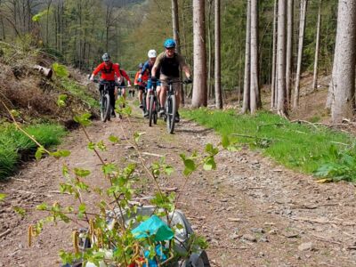 Auf dem Foto sind Mountainbiker zu sehen, die einen Waldweg bergauf fahren.