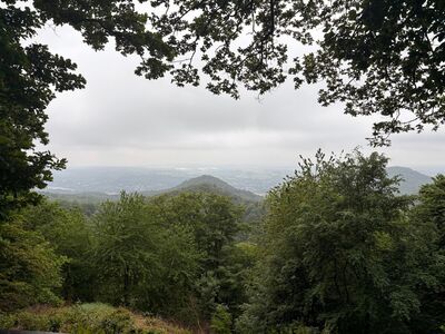 Auf dem Ölberg - Blick in die Ferne.
