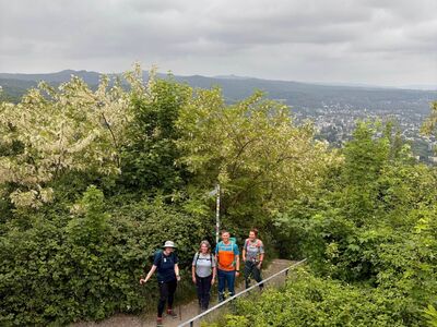 Hinauf auf den Drachenfels - noch eine Treppe bis zum Ziel.