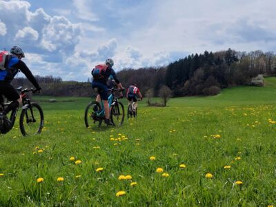 Mountainbiker auf einem Weg in grüner Wiese.