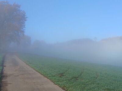 Blick auf den "Windhagen". In den Tälern noch Nebel. Der Himmel ist schon blau.