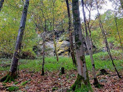 Das Hollenhaus. Ein Feldformation - Wohnort der Hollen.