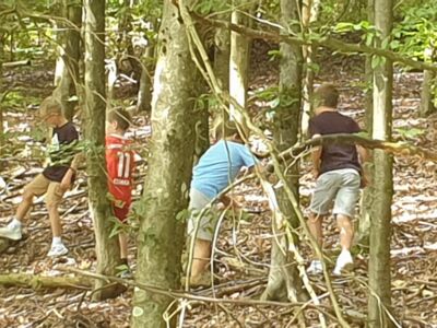 Mehrere spielende Kinder im Wald.