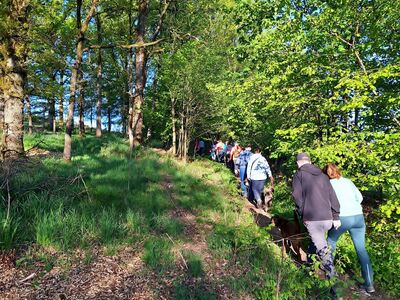 Die Wandergruppe auf einem schmalen Pfad im Wald.