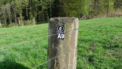 Das Foto zeigt das Wanderwegschild A9 an einem Weidepfahl