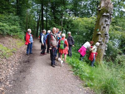 Der Pilzbewuchs muss von Wanderinnen genau betrachtet werden.