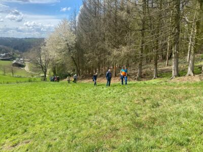 Auf dem Foto sind mehrere Wanderer zu sehen, die einen Weg bergauf gehen.