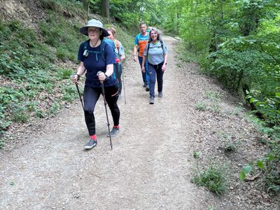 Auf dem Wanderpfad bergauf zum Drachenfels.