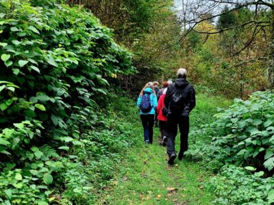 Wanderer auf dem Waldweg