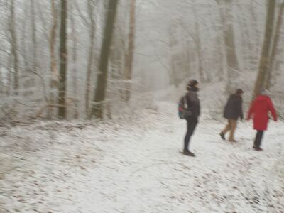 Wanderer auf einem verschneiten Waldweg.