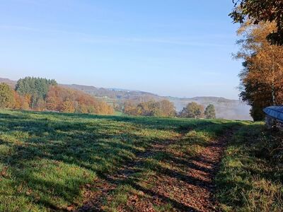 Blick in die Ferne über die herbstlich belaubten Wälder.