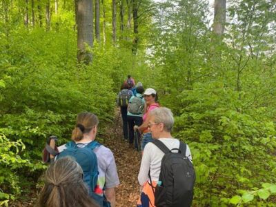 Wanderer im Laubwald