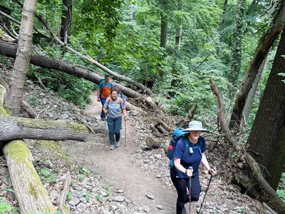 Auf dem Wanderpfad bergauf zum Drachenfels.