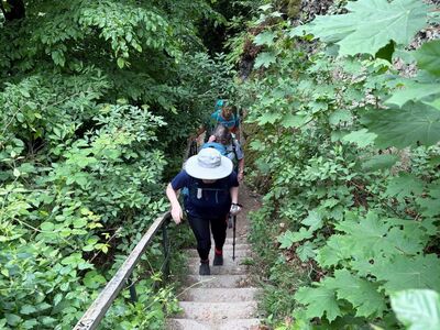 Die letzte Treppe zum Drachenfels.