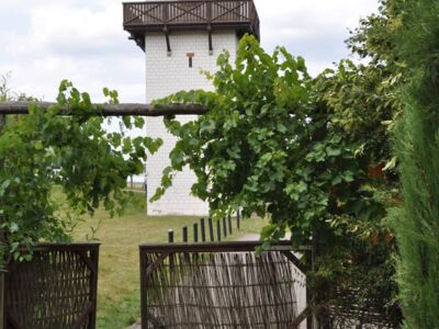 Blick auf den Limesturm aus dem Kräutergarten