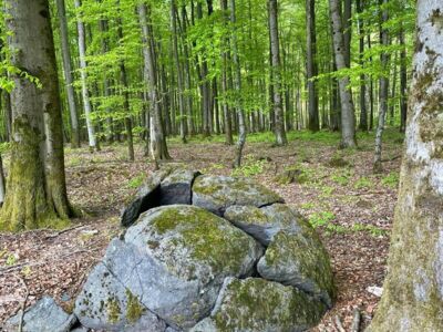 Auf dem Foto ist ein gebrochener Feldblock zu sehen