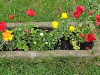 Ein alter Steintrog mit gelb und rot blühenden Blumen.