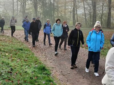 Die Wandergruppe auf dem Weg im Stadtpark Drolshagen.