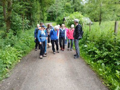 Die Wandergruppe auf dem Weg.